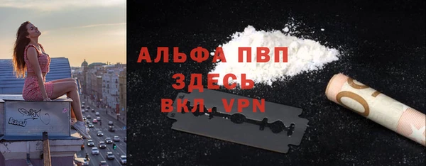 стаф Белокуриха