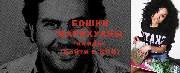 стаф Белокуриха